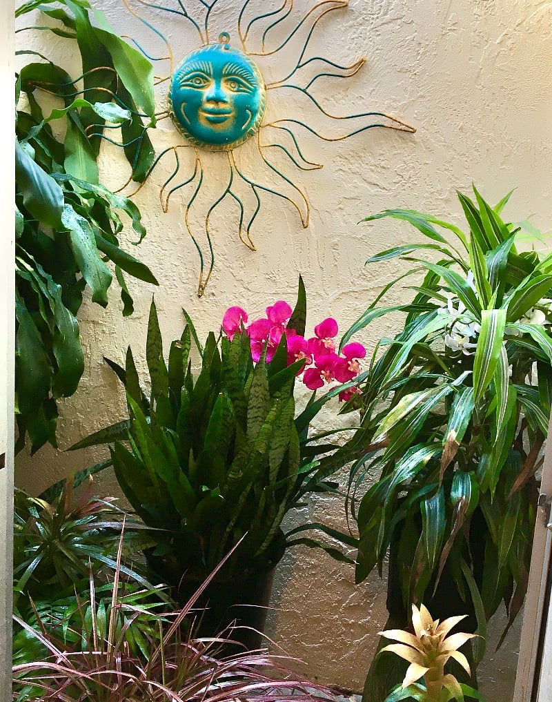 Atrium garden behind glass doors in master bathroom.
