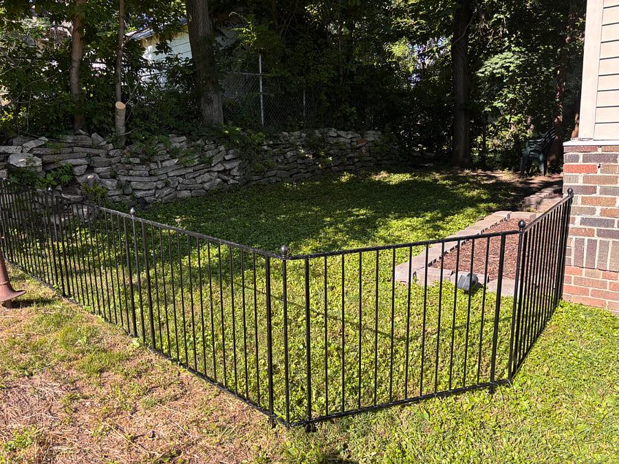 Fenced backyard.