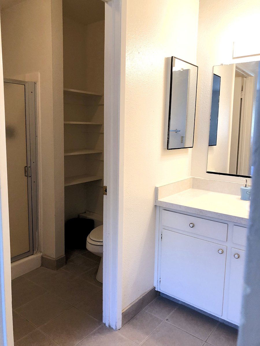 Ensuite bathroom with separate toilet and walk-in shower.