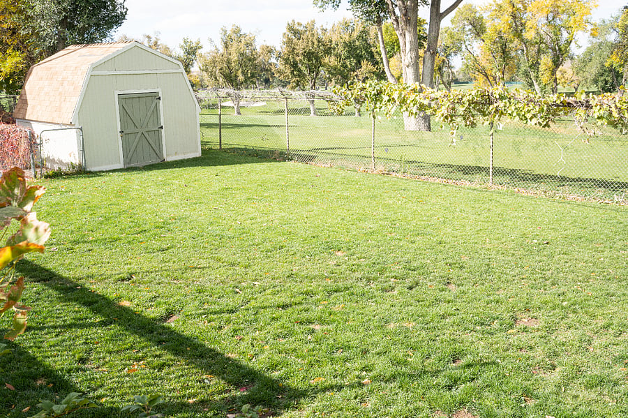Shared shed for extra storage