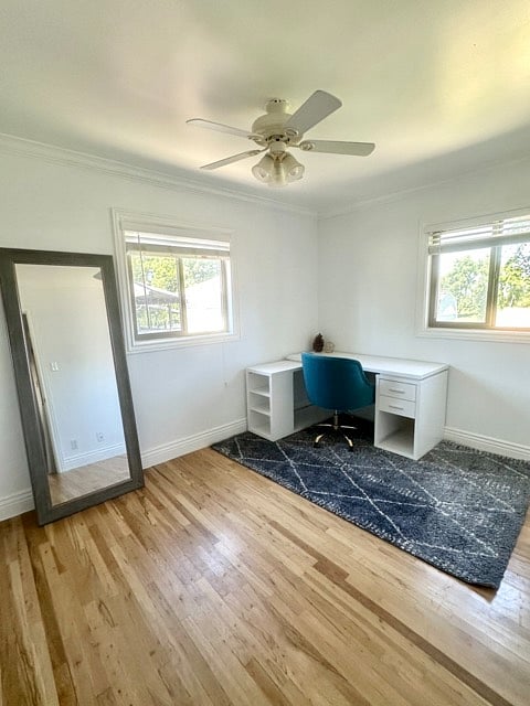 Third bedroom being used as an office