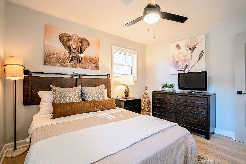 Furnished Finder property 361408_1 photo 29