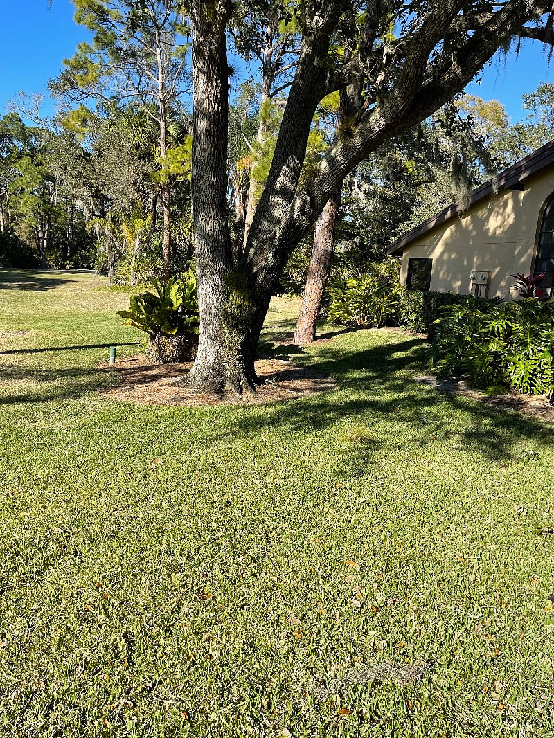 Furnished Finder property 361421_1 photo 18