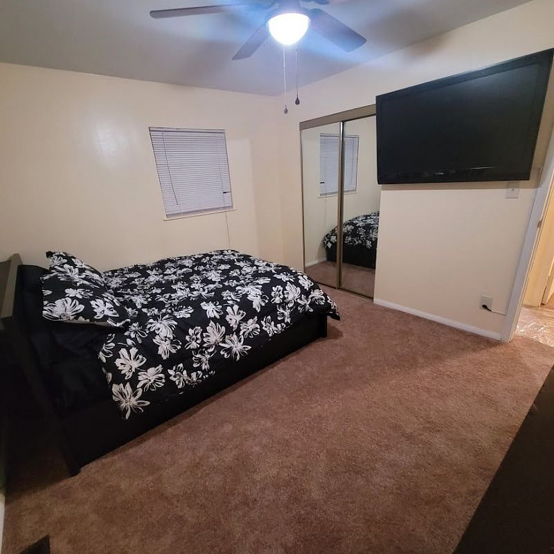 Furnished Finder property 361430_1 photo 19
