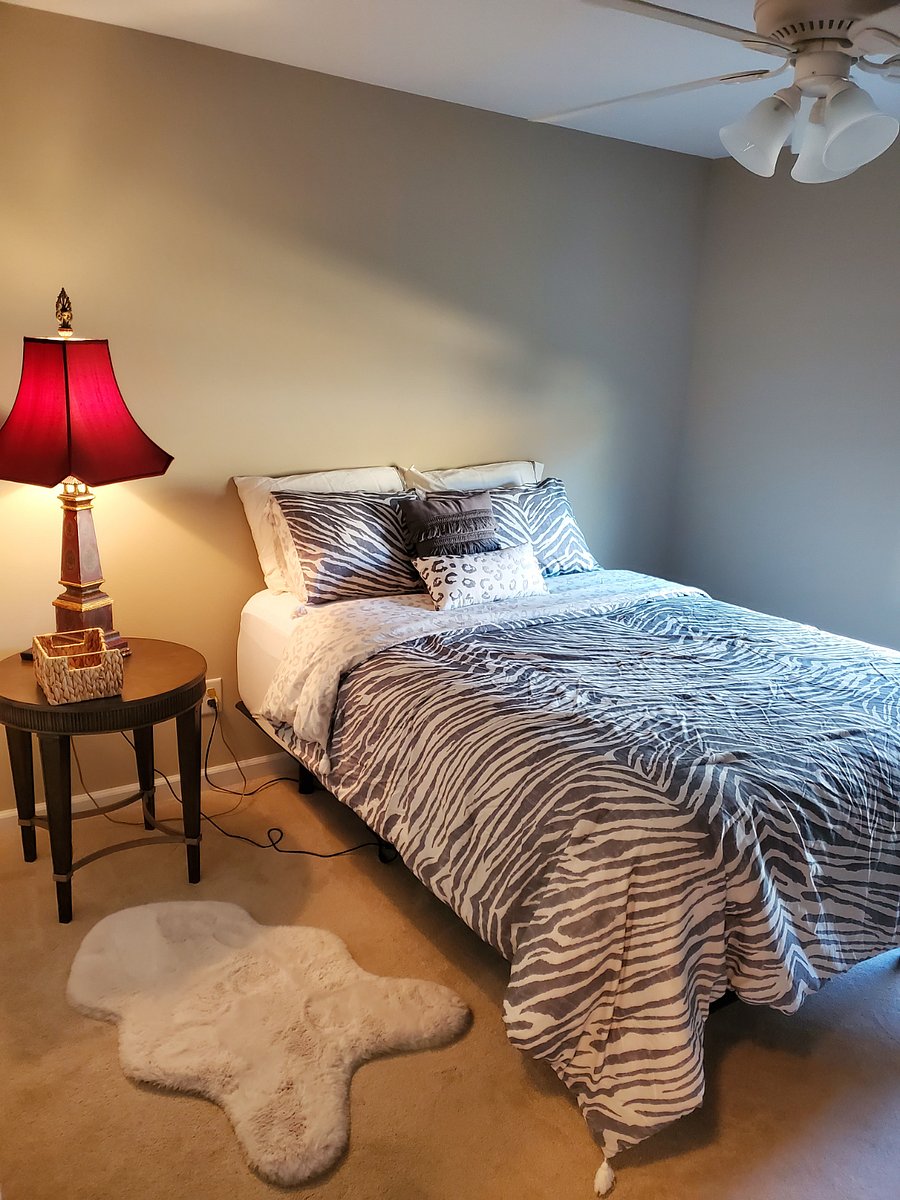 Furnished Finder property 361535_1 photo 13