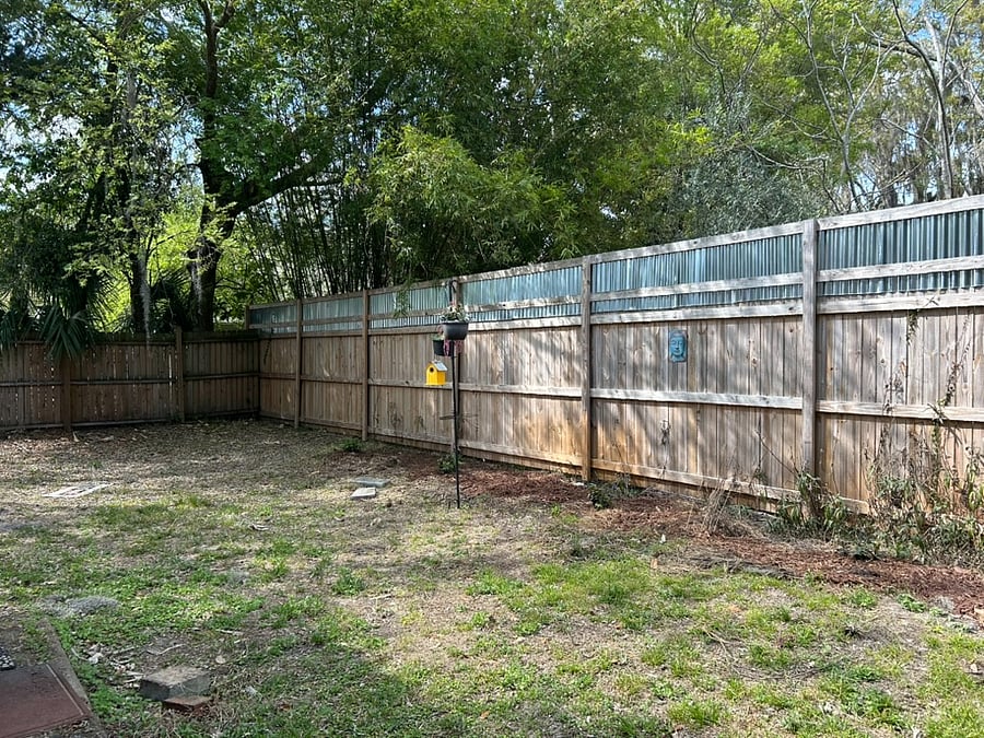 back yard