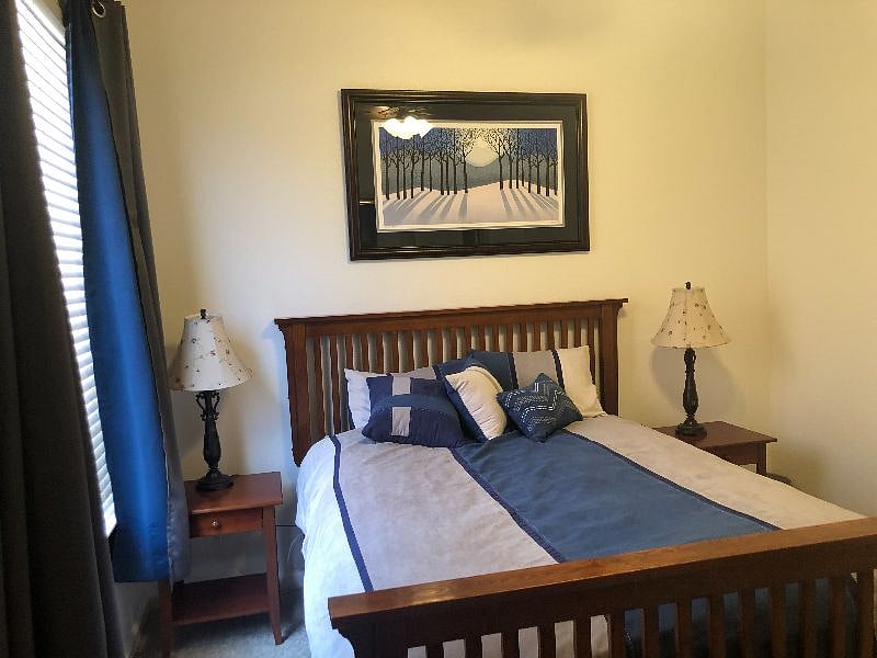Two sets of black out drapes for daytime sleepers