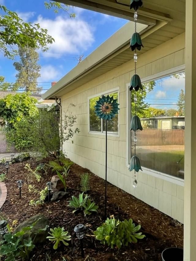 front year succulent garden