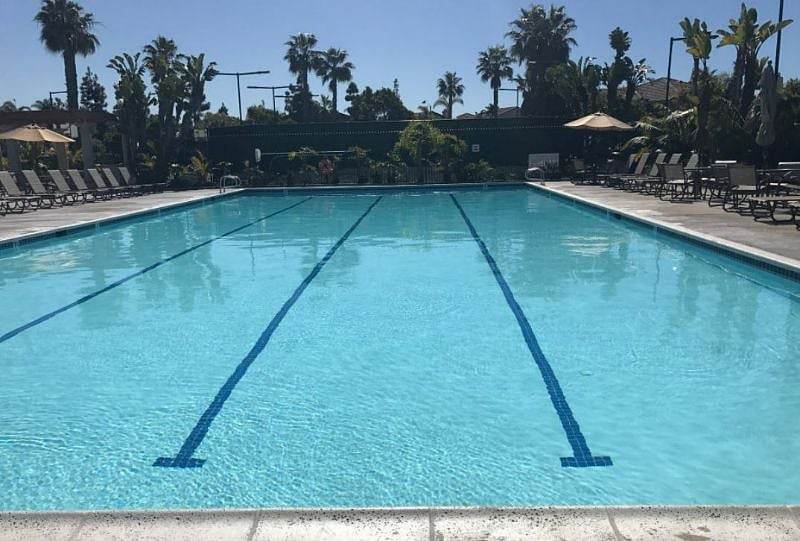 large pool, great for swimming laps. Pool/jacuzzi area also has 2 bathrooms with showers. 