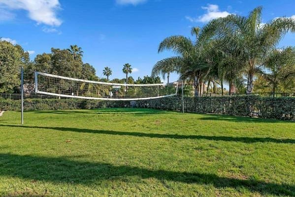volleyball