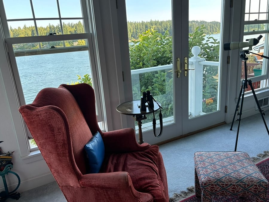 Furnished Finder property 362266_2 photo 9