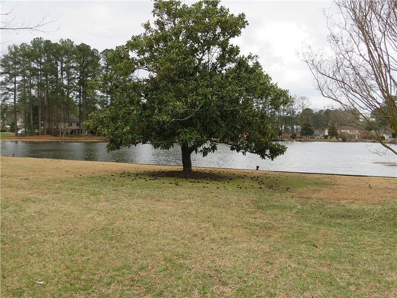 Furnished Finder property 362394_1 photo 21