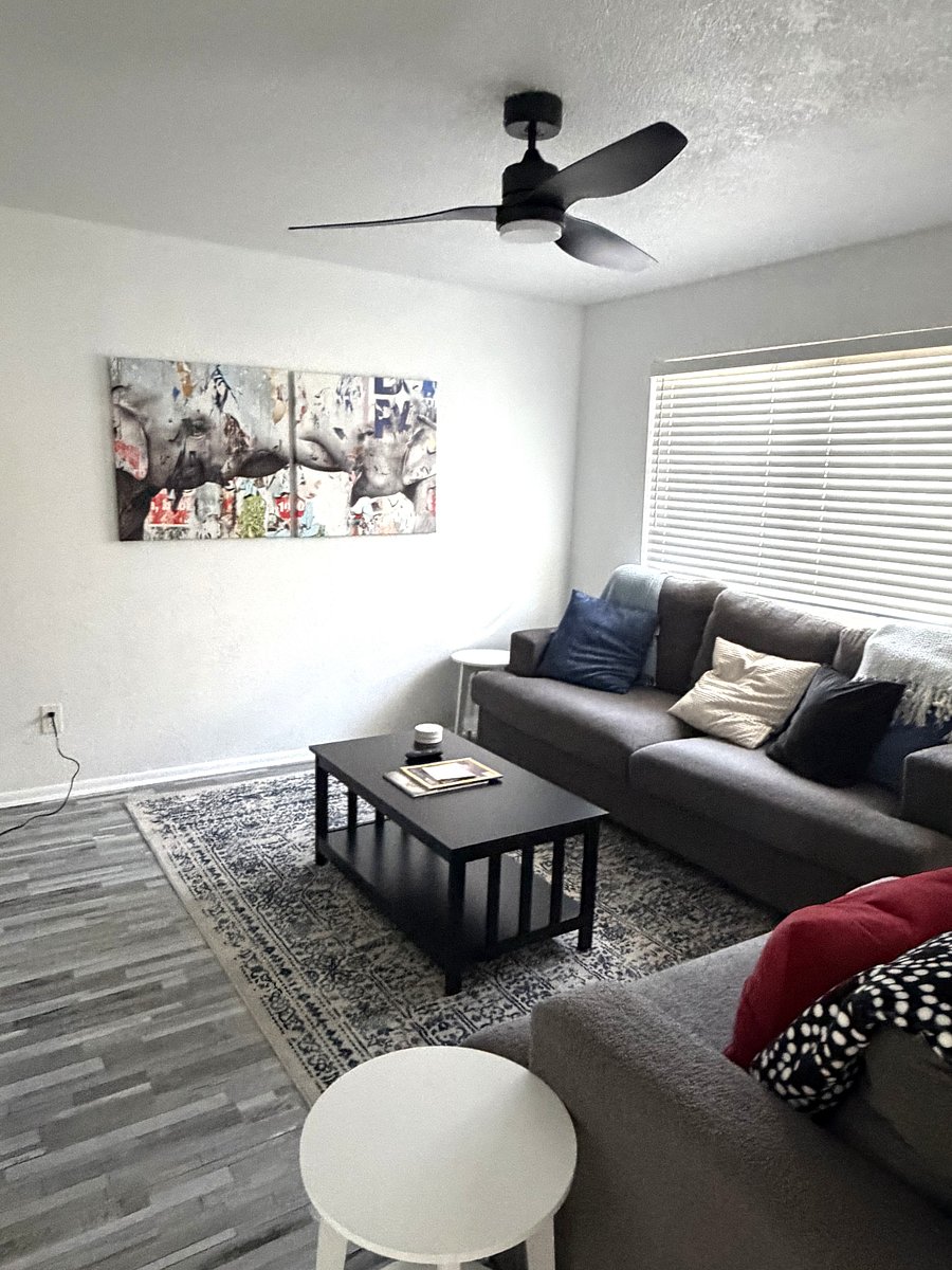 Furnished Finder property 362413_1 photo 11