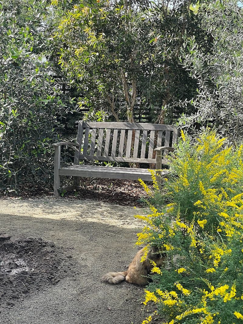 Private garden, chill corner