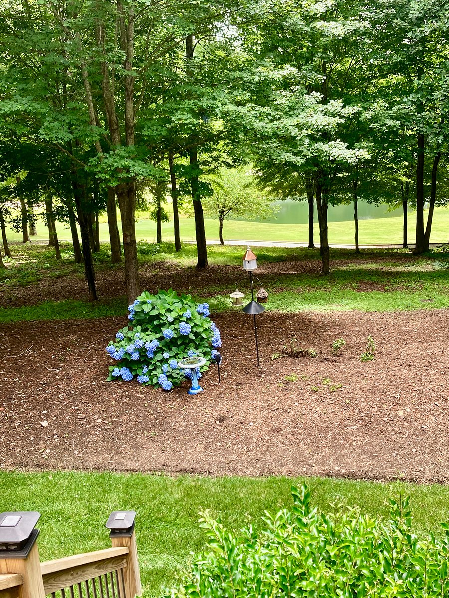 Furnished Finder property 362595_1 photo 20