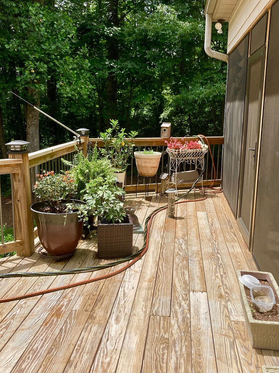 Furnished Finder property 362595_1 photo 19