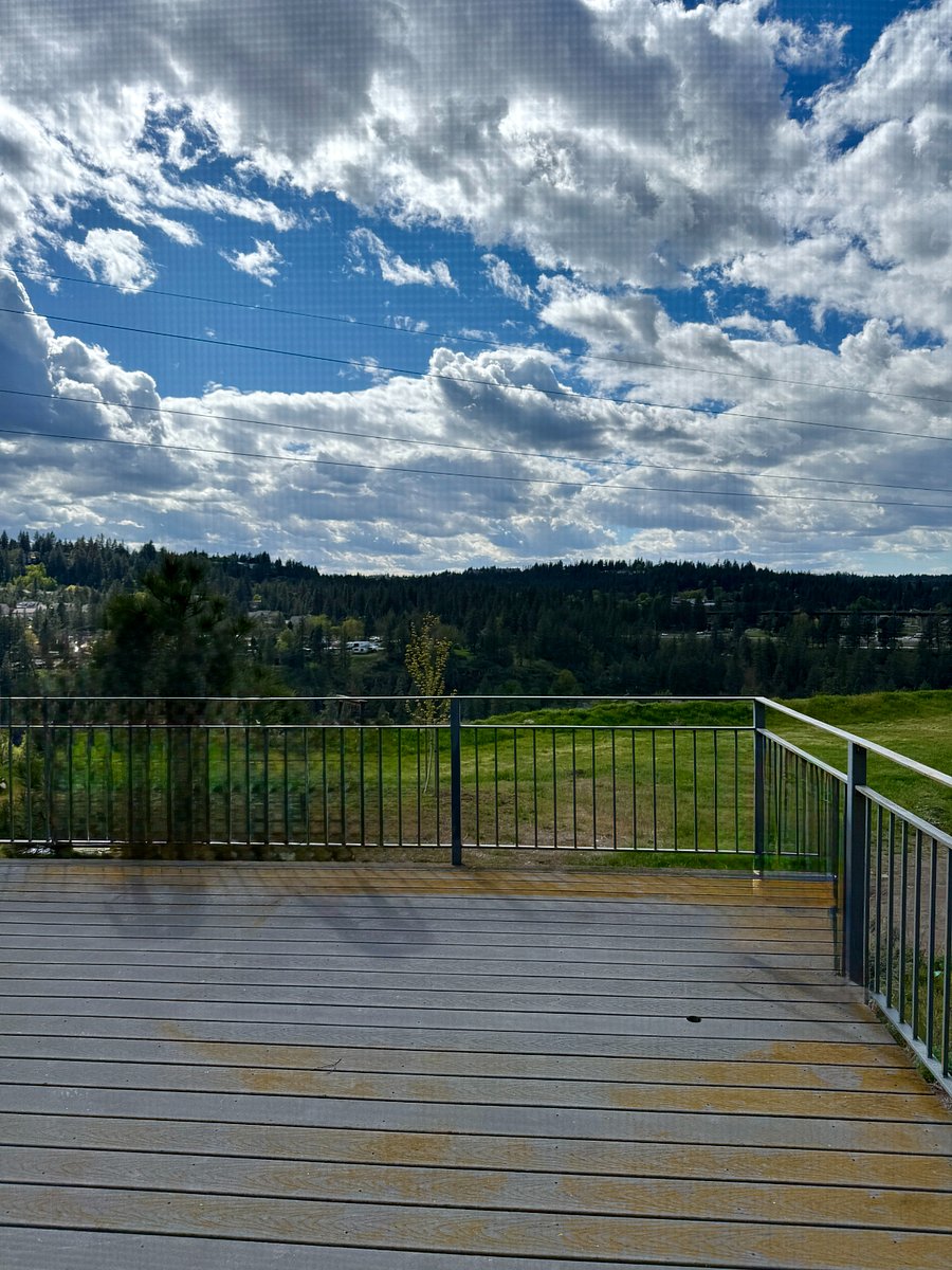 View from the back yard
