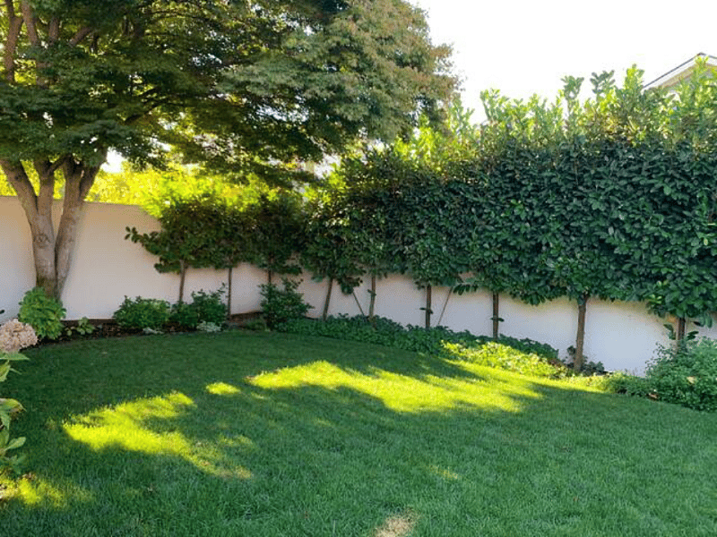 Furnished Finder property 362901_1 photo 9