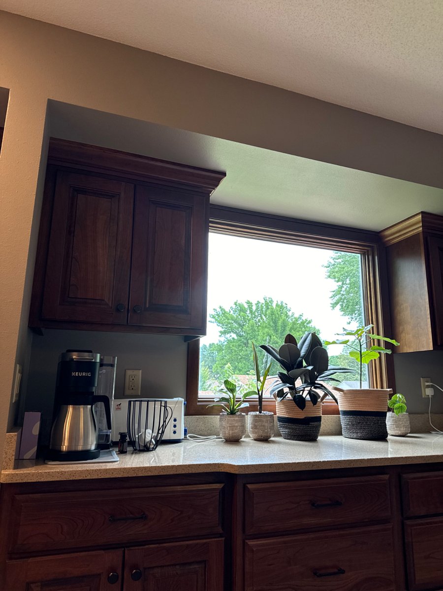 Furnished Finder property 362982_1 photo 13