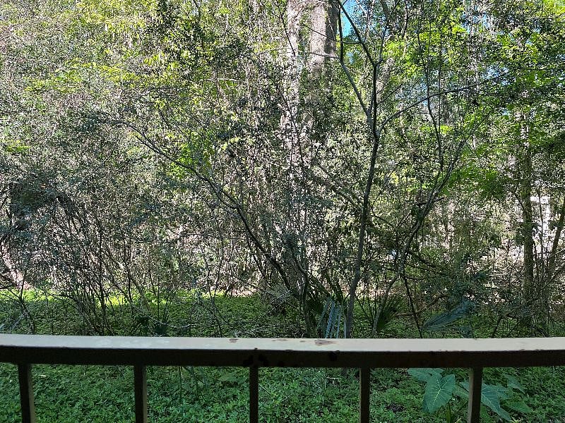 view from back porch