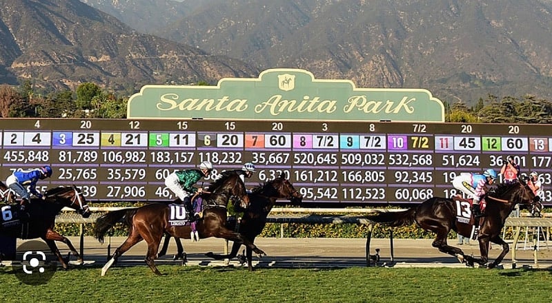 Walking distance to Santa Anita Park/ Racetrack