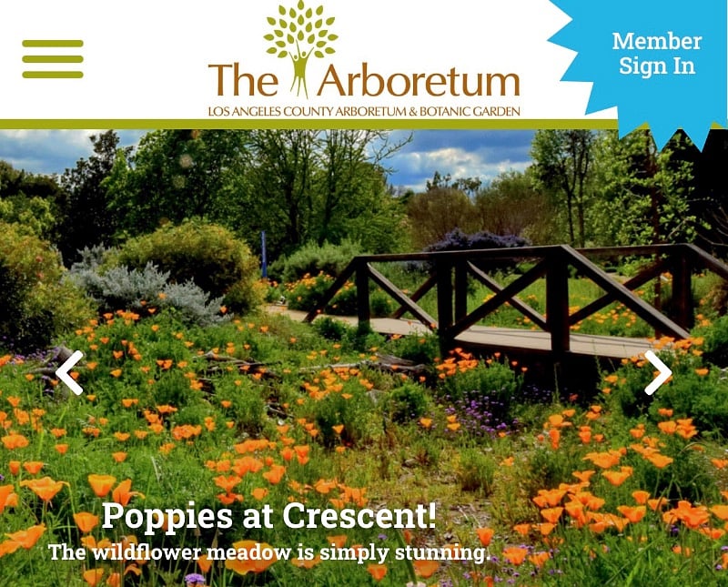 Walking distance to the LA County Arboretum