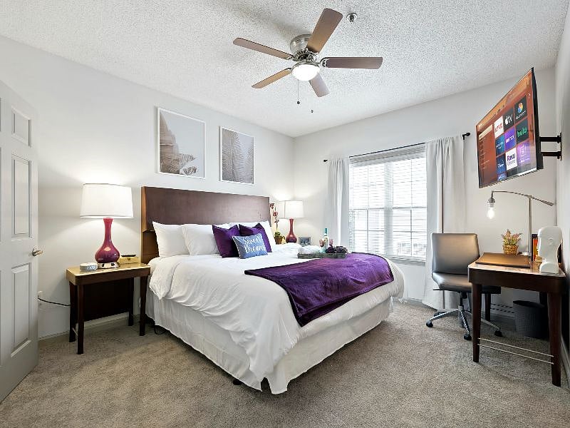 Furnished Finder property 363247_1 photo 17