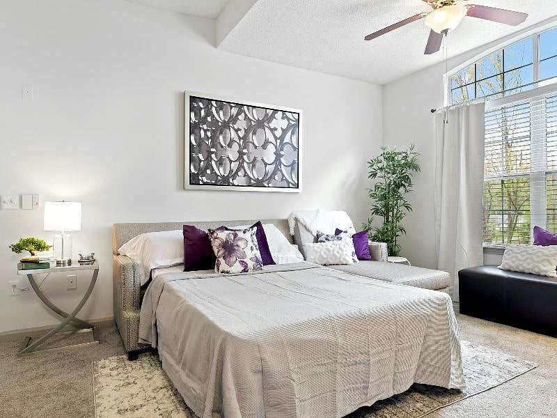 Furnished Finder property 363247_1 photo 6