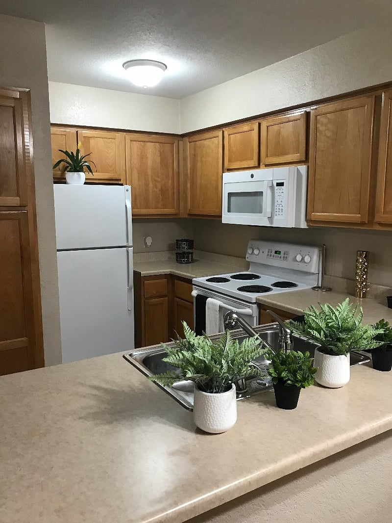 Furnished Finder property 363393_1 photo 7