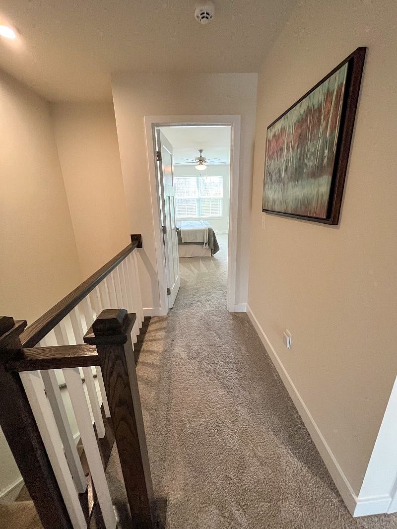 Furnished Finder property 363475_1 photo 31