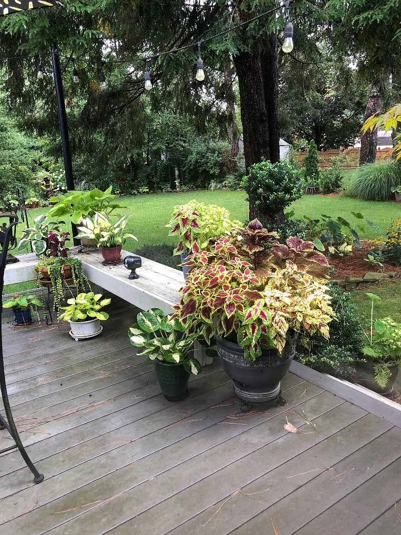 Furnished Finder property 363529_1 photo 15