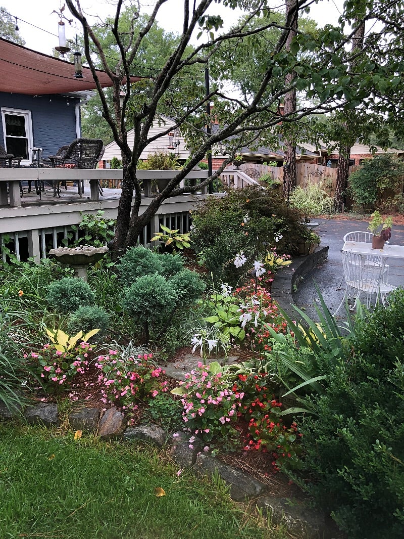 Furnished Finder property 363529_1 photo 17