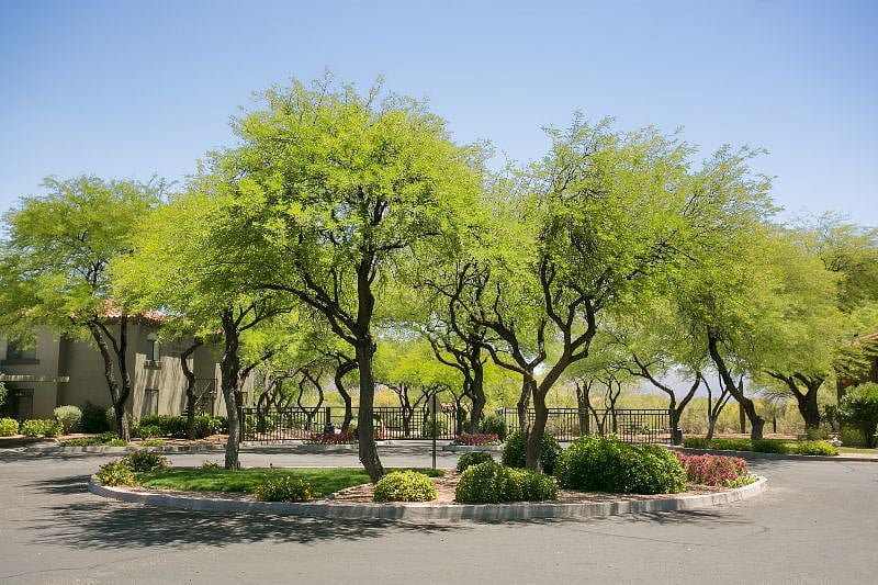 Well maintained community.