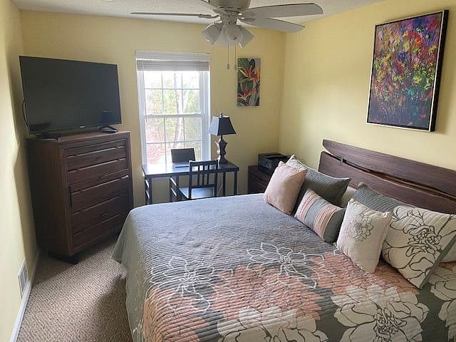 Furnished Finder property 363777_1 photo 27