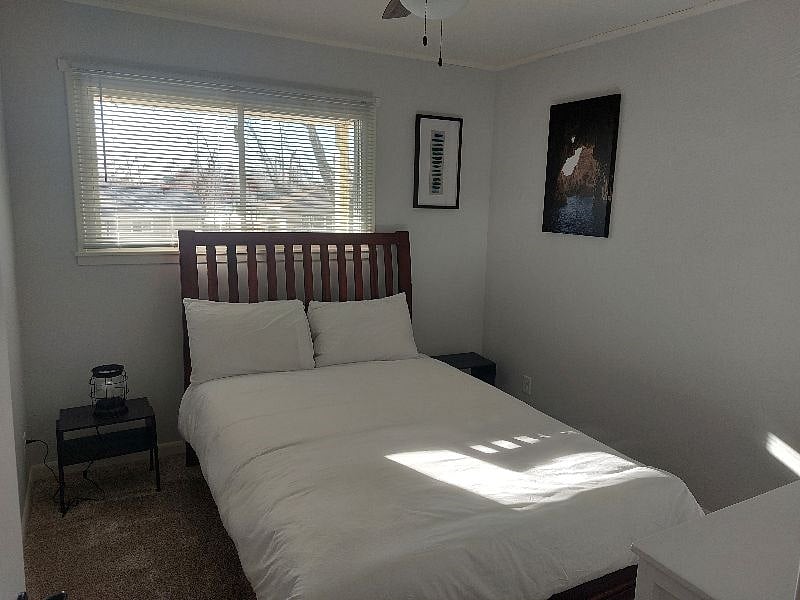 Furnished Finder property 364086_1 photo 4