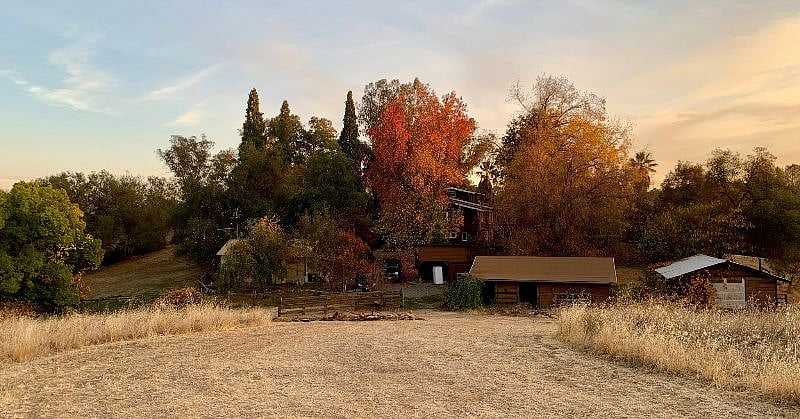 The property