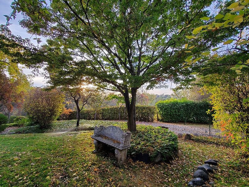 The yard