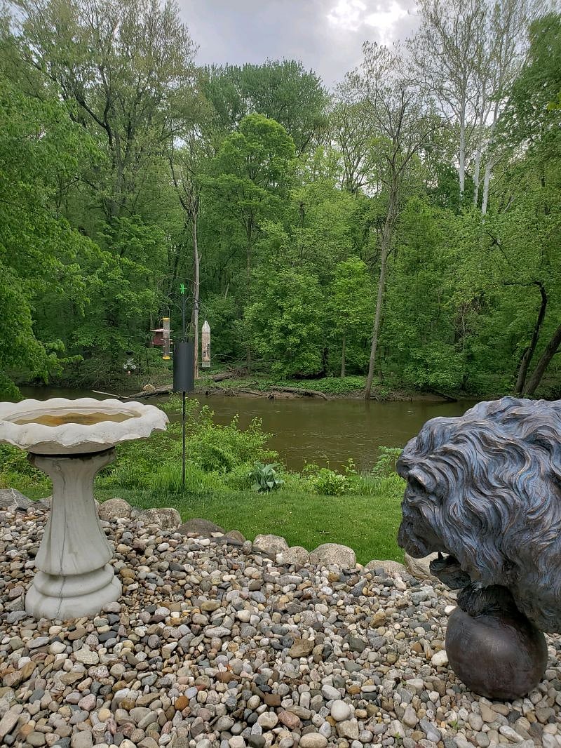 Elkhart River view