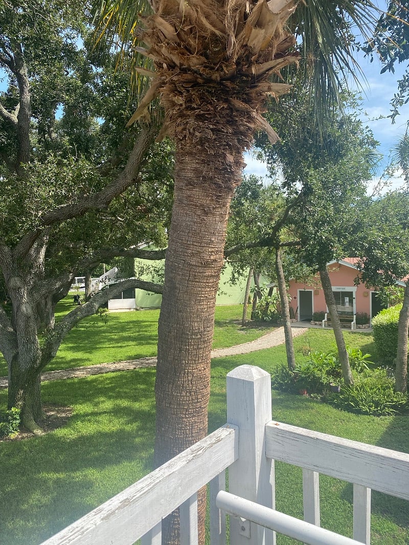 Furnished Finder property 364167_1 photo 16