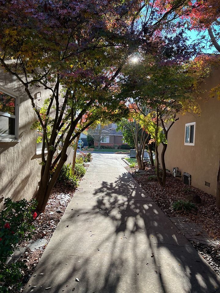 Furnished Finder property 364239_1 photo 18