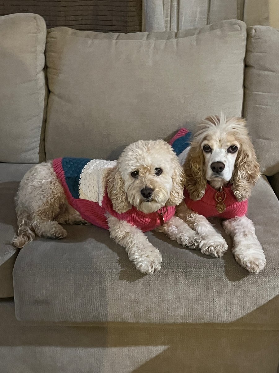 Dolly & Lady
