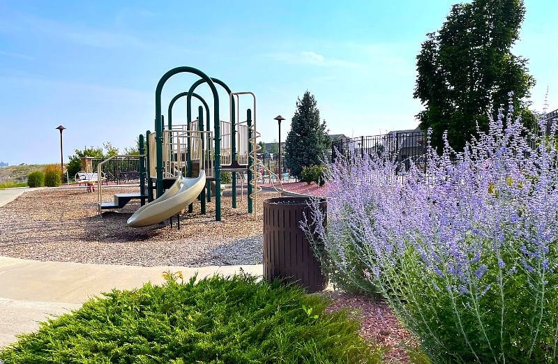 One of our 2 playgrounds!