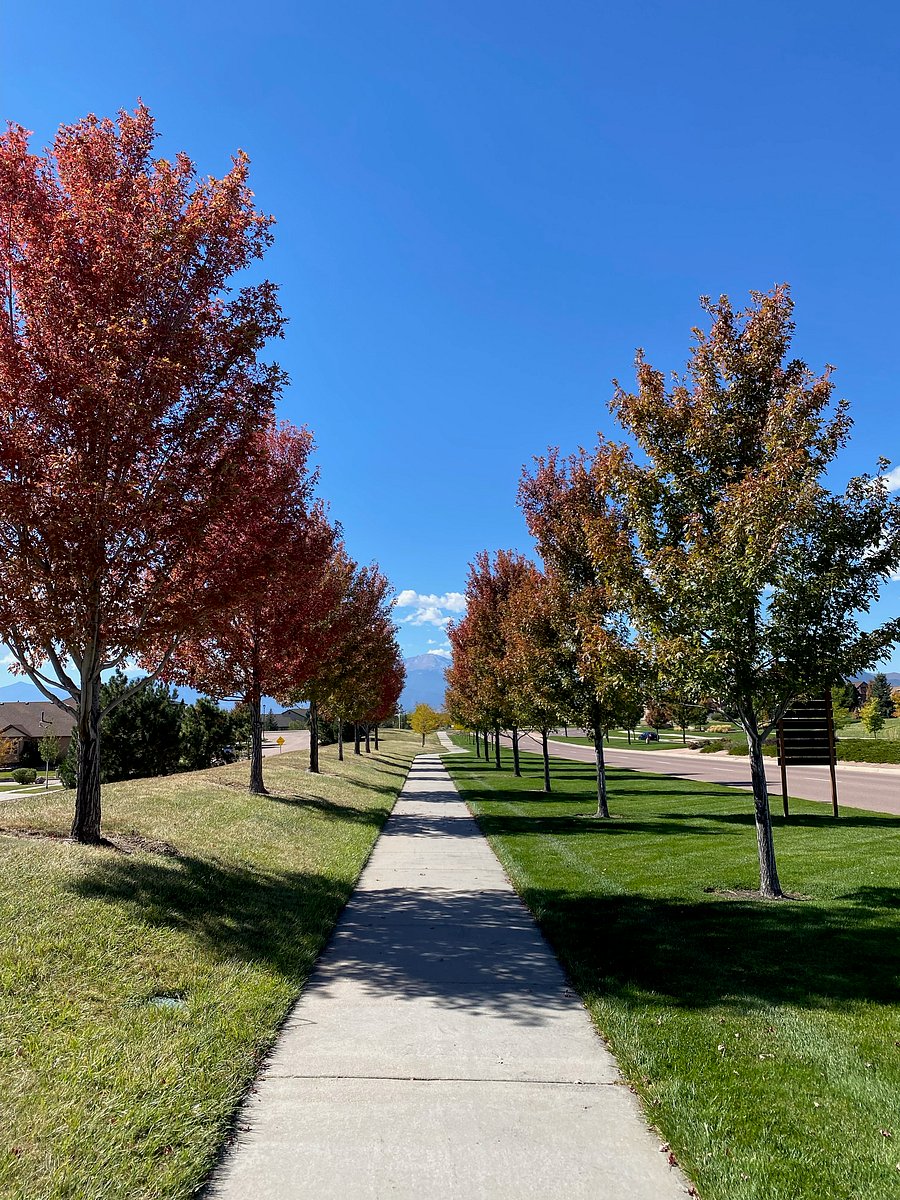 A beautiful photo taken by one of our guests during one of their walks from our place!