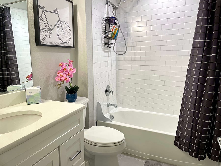 Furnished Finder property 364733_1 photo 60