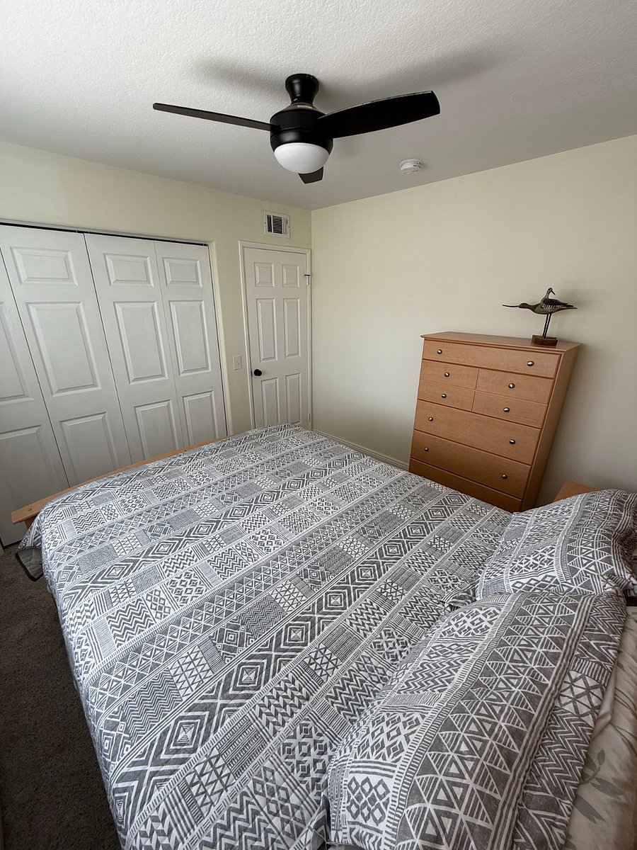 Furnished Finder property 364735_1 photo 6