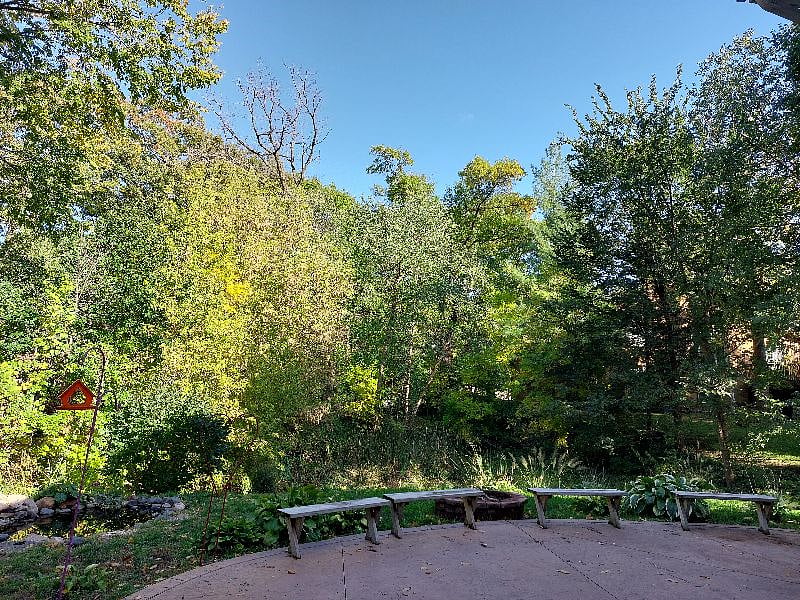Bonfire pit and benches
