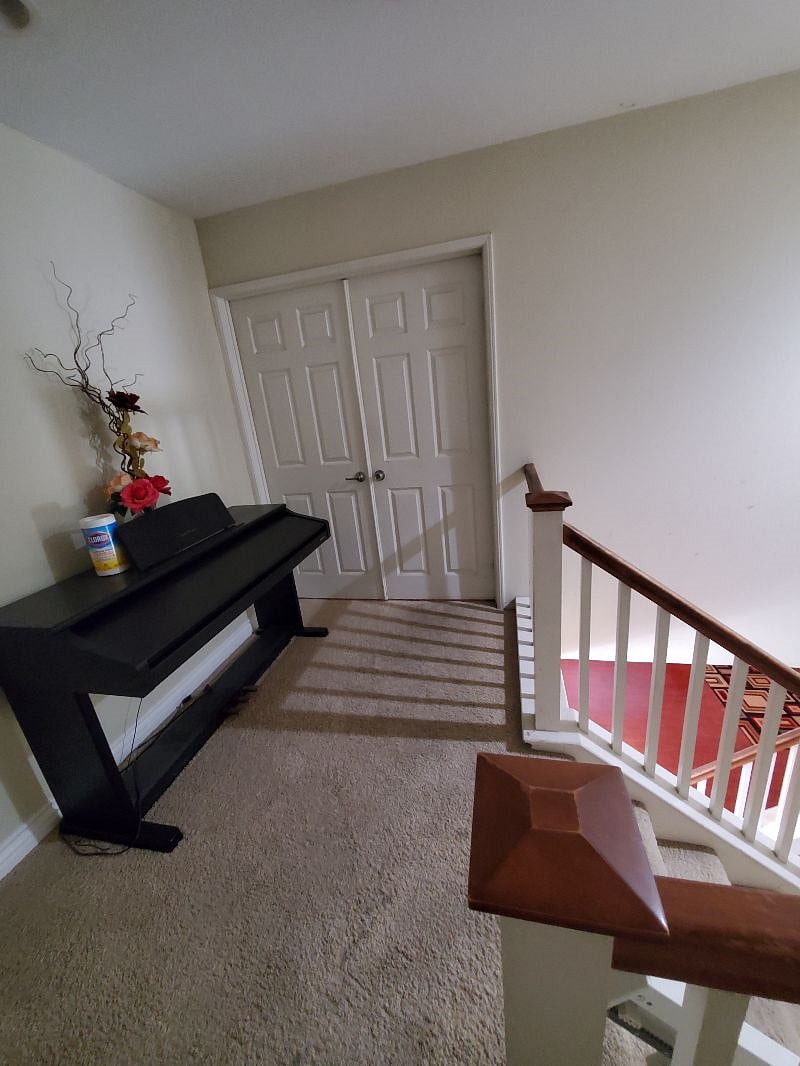 Furnished Finder property 365043_1 photo 11