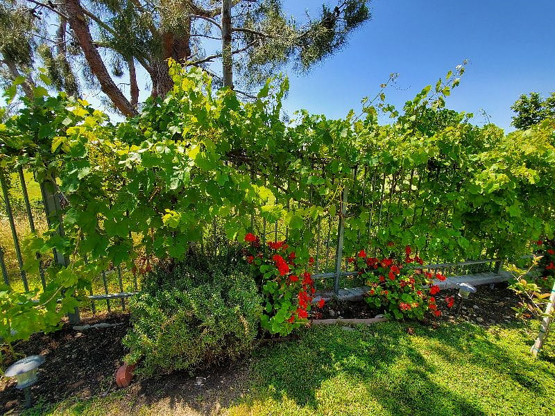 Furnished Finder property 365043_1 photo 15
