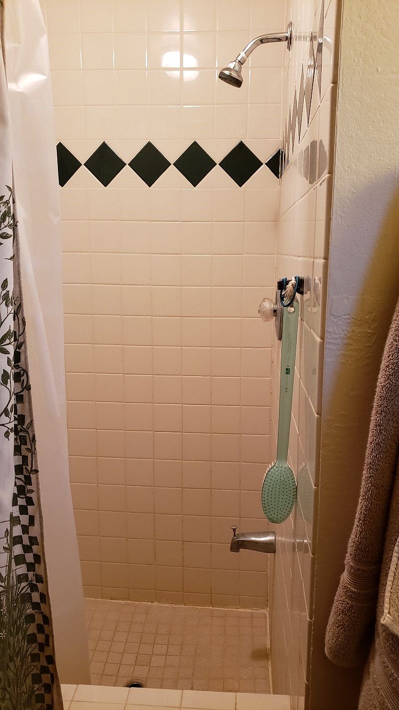 Step over Shower