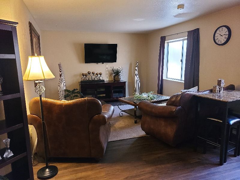 Basement living room